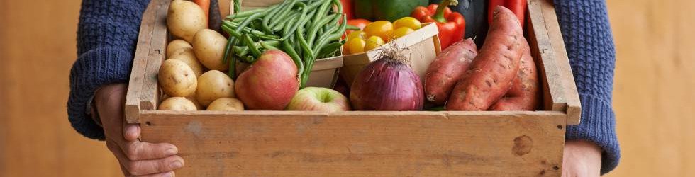 Frutas y verduras Agroecologicas